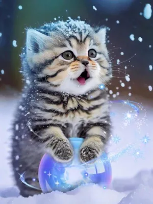 Produktbild von Diamantmalerei: Katze im Schnee – 5D-Bilder für Kinder und Erwachsene – DIY-Set für zu Hause und das Büro – Wand- und Eingangsbereichsdekoration – 30 x 40 cm.