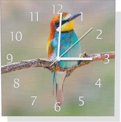 Produktbild von Wallario Design Wanduhr Vogel auf Ast aus Aluverbund, Größe 30 x 30 cm
