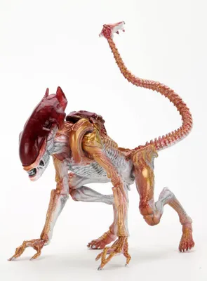 Obrázek produktu pro NECA Aliens Akční figurka Panther Alien (Kenner Tribute) 23 cm NECA51715