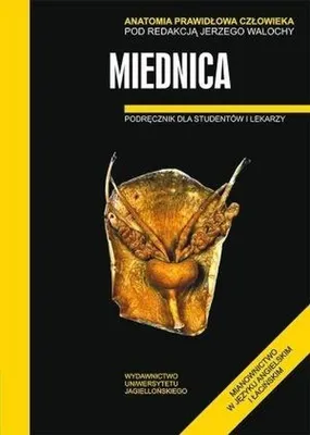 Immagine prodotto di Anatomia Prawidłowa Człowieka Miednica