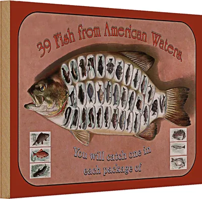 Produktbild von Holzschild Fisch 30x20cm 39 Fish from american Waters