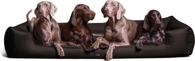 Produktbild von tierlando® Orthopädisches Hundebett GOOFY >> inkl. Matratzenschoner << Polyester - Größe: 160x110cm | Farbe: 01 Braun