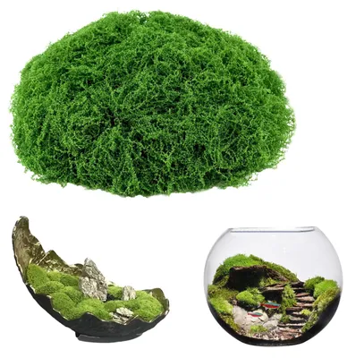 Produktbild von 200 g künstliches Moos zur Dekoration, künstliches Moos, künstliches Moos für Bastelprojekte, künstliches Moos, Dekogras für Aquarien, Wände, Weihnachtsdekorationen, Modellbauzubehör (dunkelgrün)