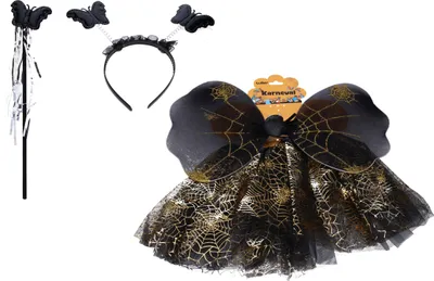 Immagine prodotto di Set carnevale - farfalla nera