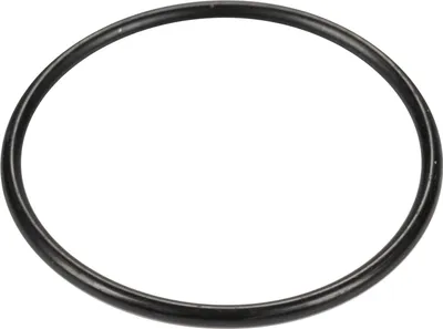Produktbild von Thermostat-Dichtungsring K68157217AA