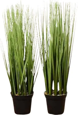 Produktbild von Boltze Gruppe Gras im Topf sortiert 54 cm (1 Stück)