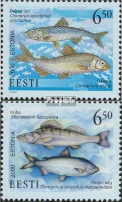 Produktbild von Briefmarken Estland 2000 Mi 384-385 (kompl.Ausg.) postfrisch Fische