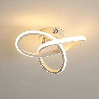 Image de Lampe de salle de bains haut de gamme pour plafond - Lampe de salle de bains luxueuse - Luminaire encastré en acier inoxydable