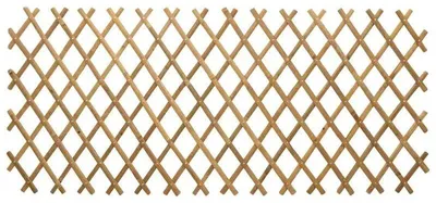 Image de Grillage Zaun - Treillis de jardin extensible pour plantes grimpantes - Lot de 2 - 100 x 105 cm - Plastique - Jaune clair
