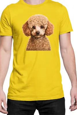 Obrázok produktu pre Mužské Tričko Dogs Breeds Poodle Dog Breed 005, Man L / žltá