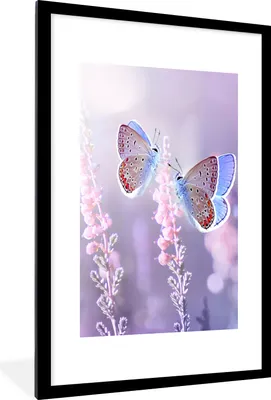 Produktbild von MuchoWow® Gerahmtes Poster Schmetterling - Lavendel - Blumen - Lila 60x90 cm - Poster mit Schwarzem Bilderrahmen Wandposter Rahmen Foto Bilder - Dekoration - Wandposter Wohnzimmer - Hochwertig