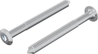 Produktbild von vidaXL Schraube 2 pcs Silber M6 x 60 mm Stahl