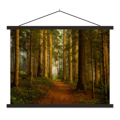 Produktbild von MuchoWow® Textilposter Wald - Natur - Bäume - Landschaft - Laub 150x113 cm mit schwarzem Rahmen - Wohnzimmer