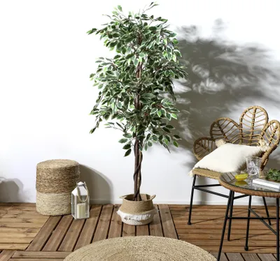 Produktbild von Kunstpflanze mit gemischtem Laub 160 cm