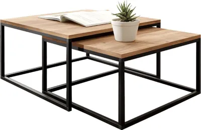 A set of two nesting coffee tables with wooden tops and black metal frames, with a potted plant and a book on the larger table.