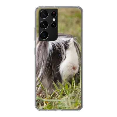 Produktbild von MuchoWow® Handyhülle Schutzhülle Hülle für Samsung Galaxy S21 Ultra Langhaar-Meerschweinchen Silikon Softcase Handy Hülle - Mobiltelefon