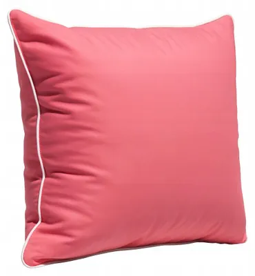 Produktbild von Strefa Spania Daunenkissen halb Geflügel Feder 50x60 cm