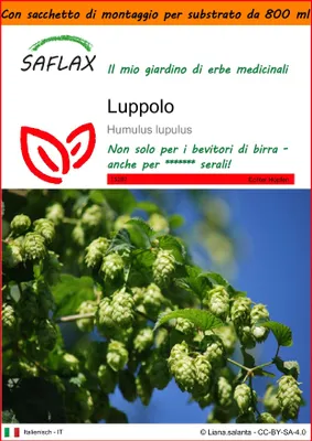 Immagine prodotto di SAFLAX Garden in the bag - Luppolo - 50 semi - Humulus