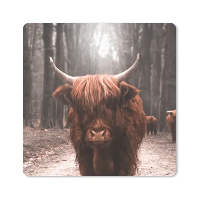 Produktbild von MuchoWow® Mauspad Mousepad Schottischer Hochländer - Wald - Kuh - Tiere - Natur 20x20 cm - Mousepads - Maus Mat - Pad - Mausunterlage - Desk Mat - Bureauartikeln