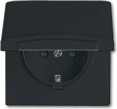 Obrázek produktu pro Busch-Jaeger 2064-0-0295, CEE 7/3, 2P+E, Černá, IP44, 250 V, 16 A