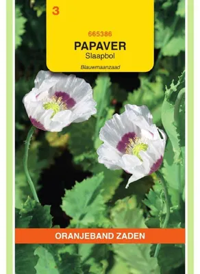 Imagen del producto de Oranjeband: Semillas de amapola. - 1 paquete