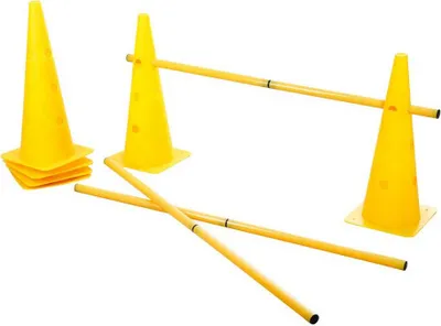 Produktbild von Kerbl Agilität Eile Und Pylonenspiel Golden  Golden One Size