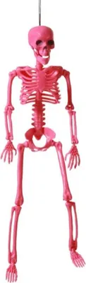 Obrázek produktu pro Halloweenská dekorace kostra 38 cm růžová