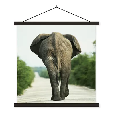 Produktbild von MuchoWow® Textilposter Elefant - Kröte - Tiere - Natur 120x120 cm mit schwarzem Rahmen - Aufhängungsset