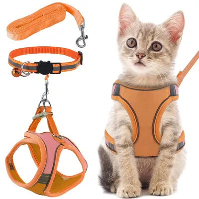 Image de TRANKIELO® - Collier de sécurité réglable pour chat, avec laisse et harnais - Tissu doux - Design réfléchissant - Sûr et confortable
