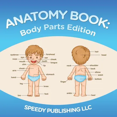 Produktbild von Anatomy Book
