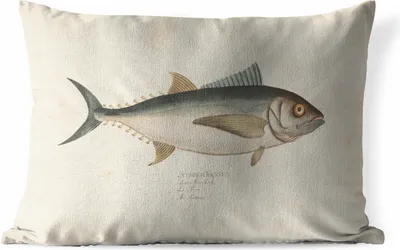 Produktbild von MuchoWow® Outdoor Kissen - Eine alte Illustration eines Fisches - 60x40 cm - Wetterfest - Lounge Kissen - Zierkissen - Kissen für Innenräume
