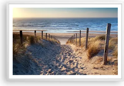 Produktbild von Gerahmtes Poster - Weißer Rahmen - Meer Strand Düne - 91,5x61 cm - Wand Bild - Wanddeko - Wandbilder - Kunstposter - Wandposter - Bilderrahmen - Bilder - Kunstdruck - Wandbild - P2WAA91x61-3612