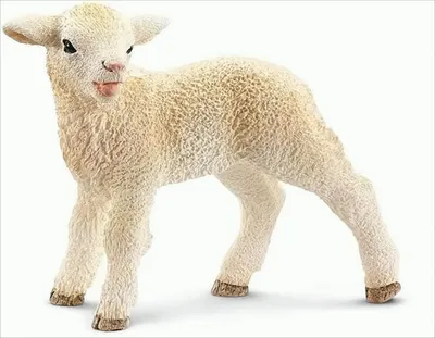 Produktbild von Schleich Schäfchen