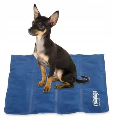 Produktbild von Relaxdays Kühlmatte für Hunde & Katzen, Gel-Liegepolster, 50x40cm