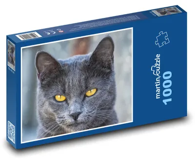 Obrázek produktu pro Puzzle 1000 Šedá kočka s hypnotizujícíma očima - martinpuzzle