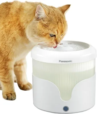 Produktbild von Panasonic CP-JNW01CW Trinkbrunnen für Haustiere, Wasserbrunnen für Katzen & klei
