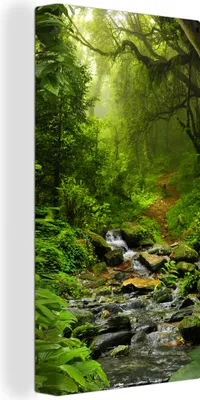 Produktbild von MuchoWow® - Leinwandbilder - Natur - Wasser - Dschungel - Wald - Tropisch, Wandbild, Wanddeko Bilder Wohnzimmer, 40x80 cm