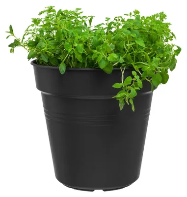 Obrázek produktu pro elho green basics growpot, Květináč, Volně stojící, Polypropylen (PP), Černá, Kulatý, Vnitřní/venkovní