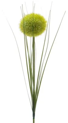 Produktbild von Kunstblumen Allium 66cm grün, 1 Stück
