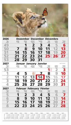 Produktbild von Timr 3-Monatskalender 2027 Jahresübersicht - 53cm - Motiv Löwe I tr465