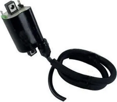 Immagine prodotto di Bobina accensione 12V JMP 4062