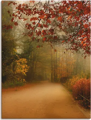 Produktbild von ARTland Leinwandbild Herbst im Park Größe: 30x40 cm