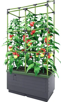 Produktbild von BioGreen Hochbeet "City Jungle" mit Rankgitter L 62 x B 33 x H 128 cm - 34L Kübelvolumen - 17L Wasserspeicher