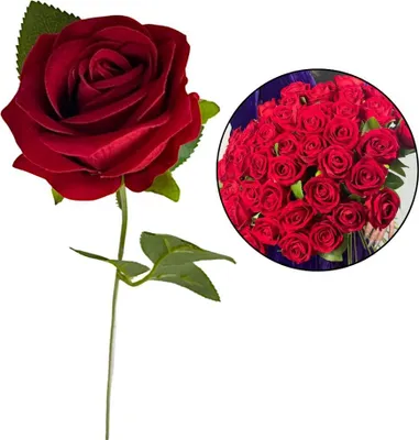 Immagine prodotto di Rosa di velluto rosso 50 cm