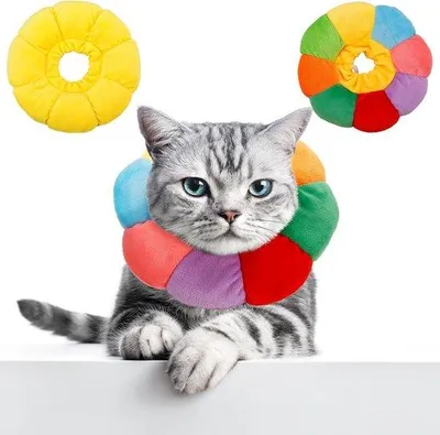 Produktbild von Famanu Katzenhalsbanden Set - Verstellbar, Anti-Biss, Gelb und Regenbogen