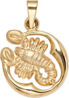 Produktbild von JOBO Anhänger Sternzeichen Skorpion 375 Gold Gelbgold teilmattiert