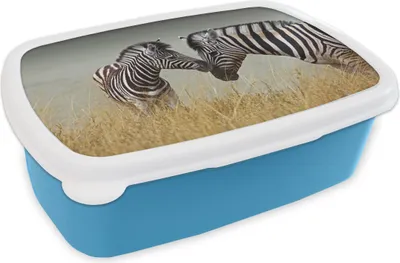 Produktbild von KitchenYeah® Lunchbox Brotzeit Brotdose 17x11 cm Zebramutter und ihr Kalb Kinder Brotzeitdose - Lunch - Kunststoff  - Brotbüchse - Sandwichbox - Lunchbox für Kinder