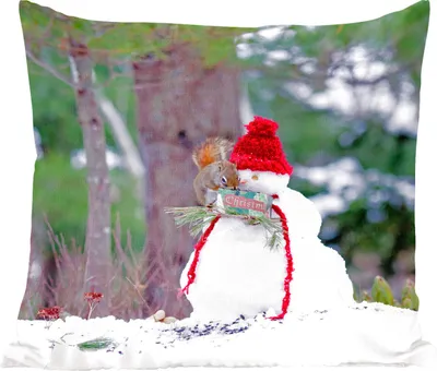 Produktbild von MuchoWow® Zierkissen Sofakissen Wohnzimmer Dekokissen 40x40 cm Eichhörnchen - Schneemann - Winter - Foto Kissen - Schlafzimmer Dekoration
