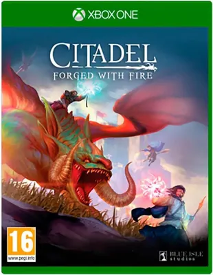 Zdjęcie produktu dla Blue Isle Studios Citadel: Forged with Fire, Xbox One, Tryb multiplayer, Powyżej 13 lat, Nośnik fizyczny