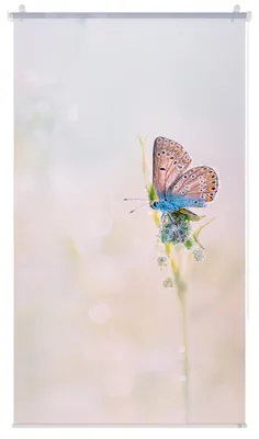 Produktbild von Lichtblick Rollo ohne Bohren, blickdicht, Tageslicht - bunt Rosa Blau 110 cm x 150 cm (B x L)